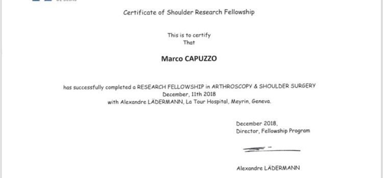 Research fellowship in arthroscopy and shoulder surgery